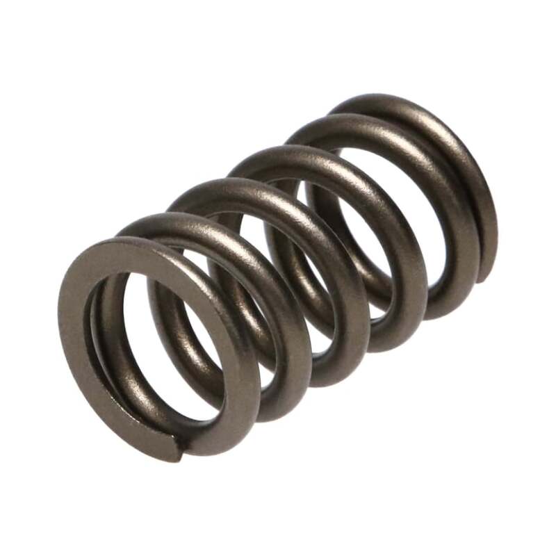 Manley Valve Spring, SPRING-NISSAN PATROL TB48