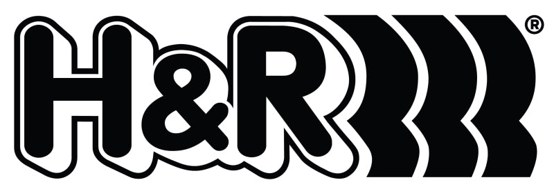 H&R Wheel Bolts 15 X 1.25 / Length 54mm 19mm / Mercedes Removable Ball (R14) / Head 19mm - Set of 10