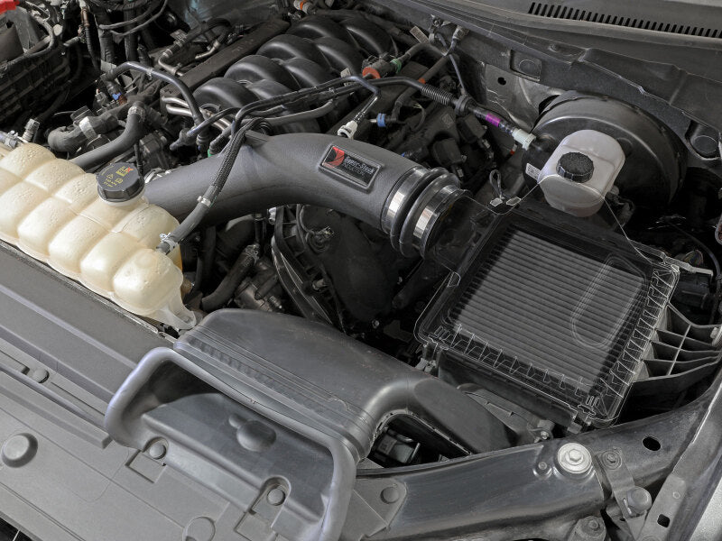 نظام تحريض aFe Super Stock Pro Dry S Media 15-20 Ford F-150 V8-5.0L
