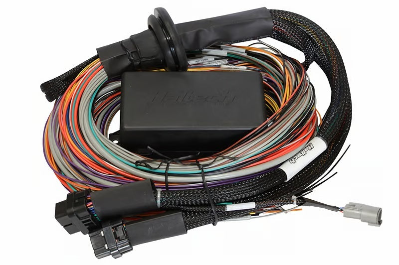Haltech Elite 2500/2500 T Premium Universal Wire-In Harness - 5m (16ft)