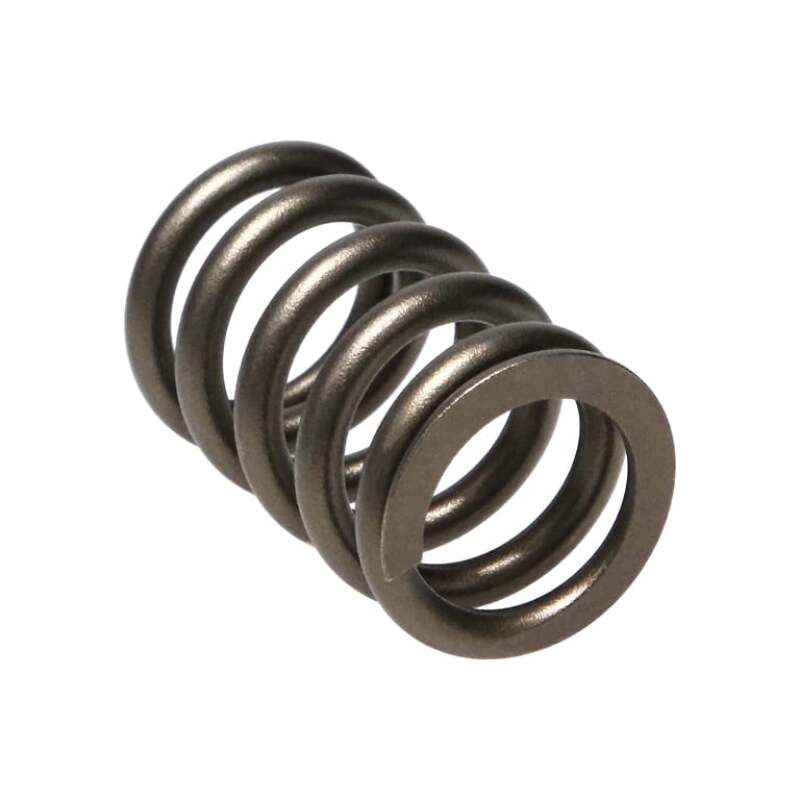 Manley Valve Spring, SPRING-NISSAN PATROL TB48