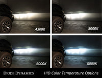 User 4