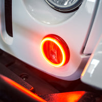 Photo - Close Up